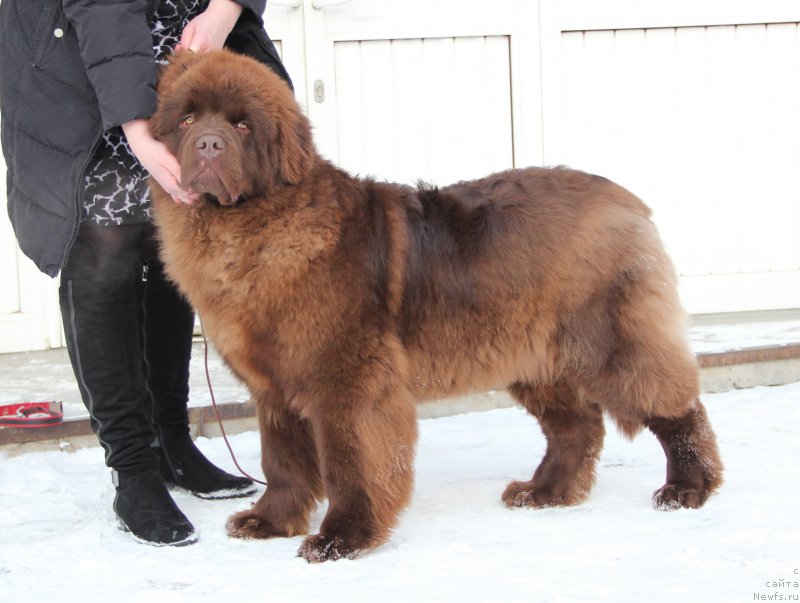 Фотография № 174406