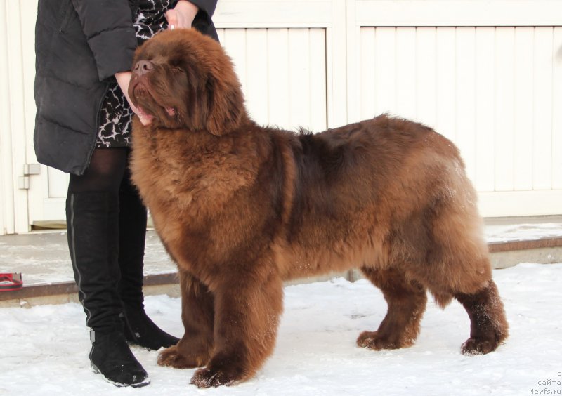 Фотография № 174408