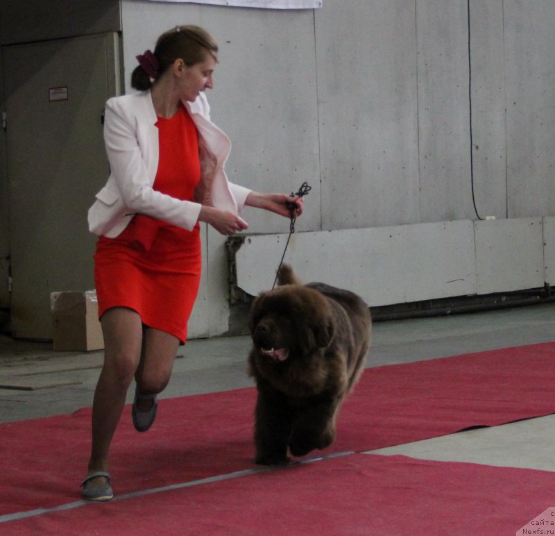 Фотография № 174410