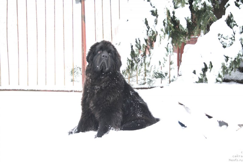 Фотография № 174411