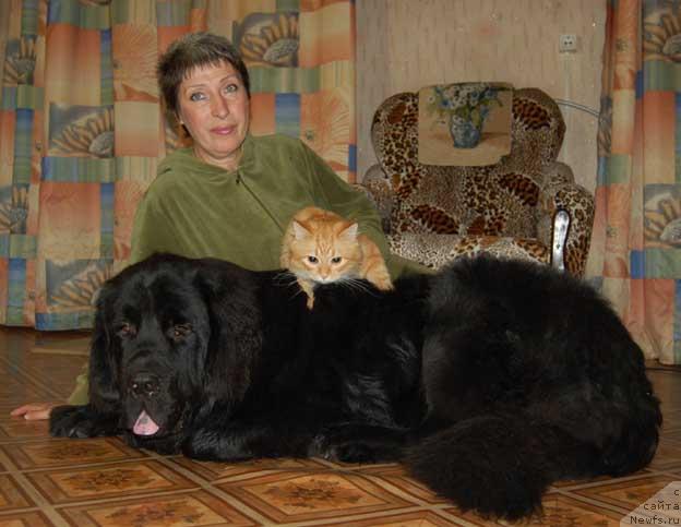 Фотография № 17442