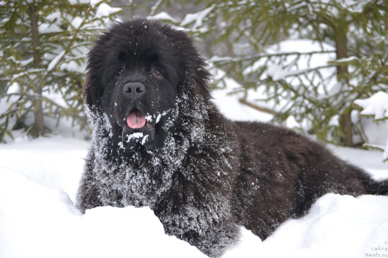 Фотография № 174420