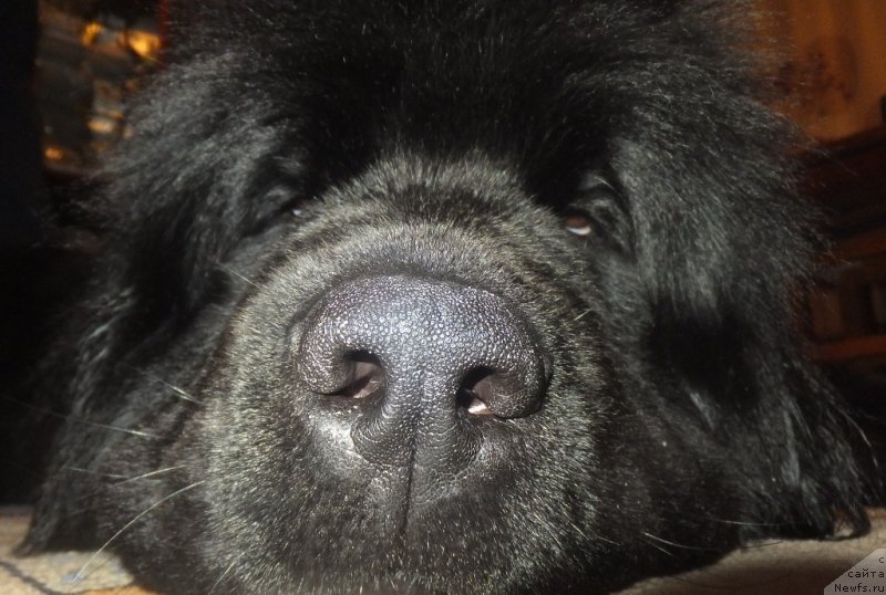 Фотография № 174428