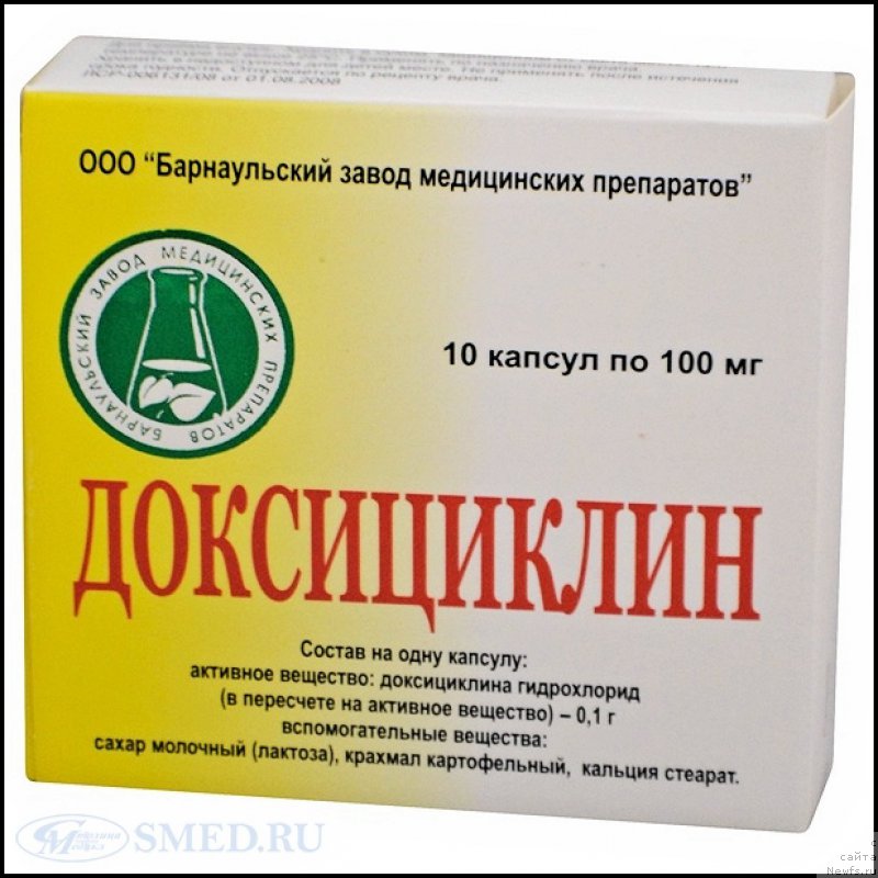 Фотография № 174459