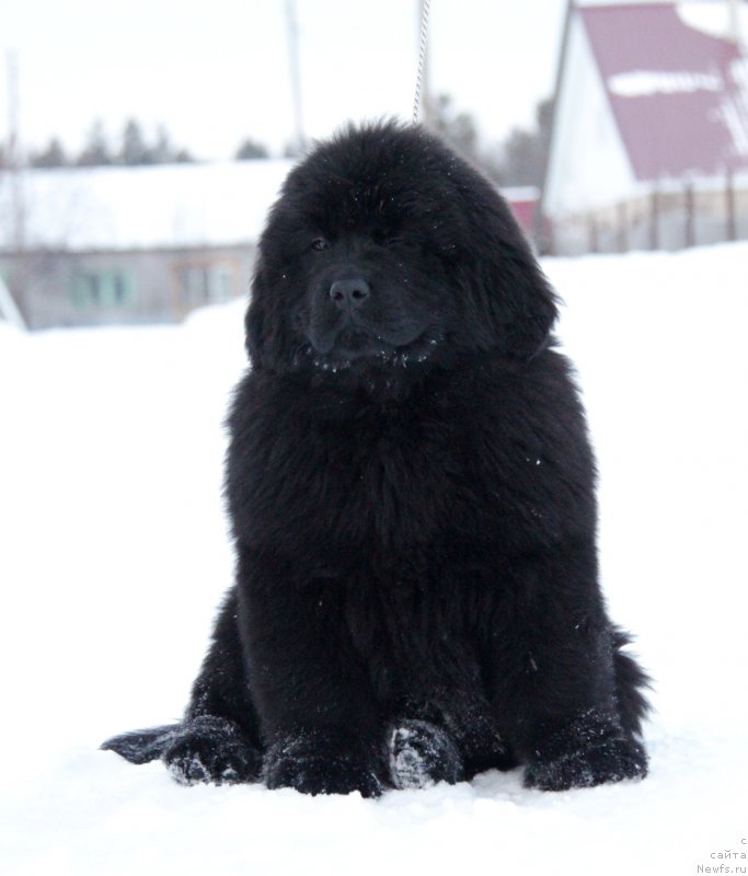Фото: Акватория Келвин Большая Медведица