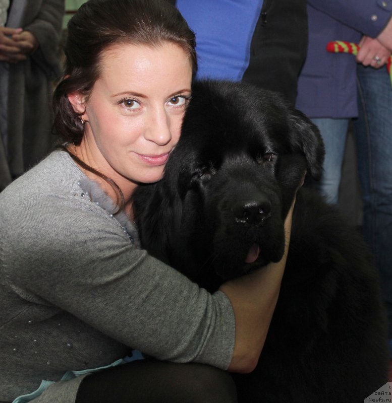 Фотография № 174501