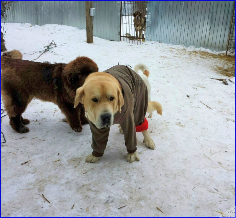 Фотография № 174565