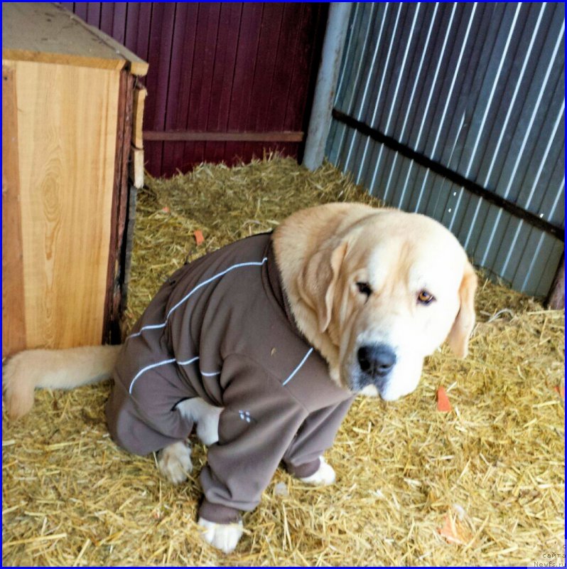 Фотография № 174567