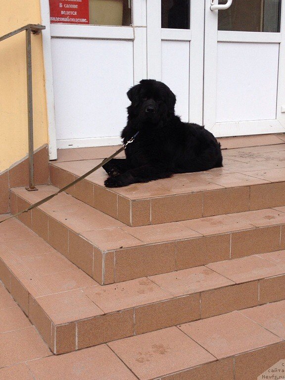 Фото: Igor' Grechishkin (Игорь Гречишкин)