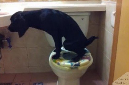 Фото: Sergey Jukov (Сергей Жуков)