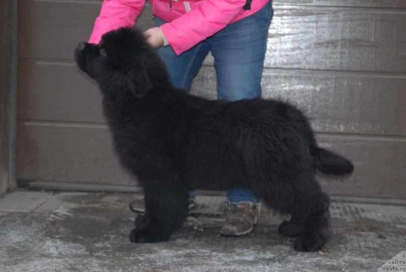 Фотография № 174673