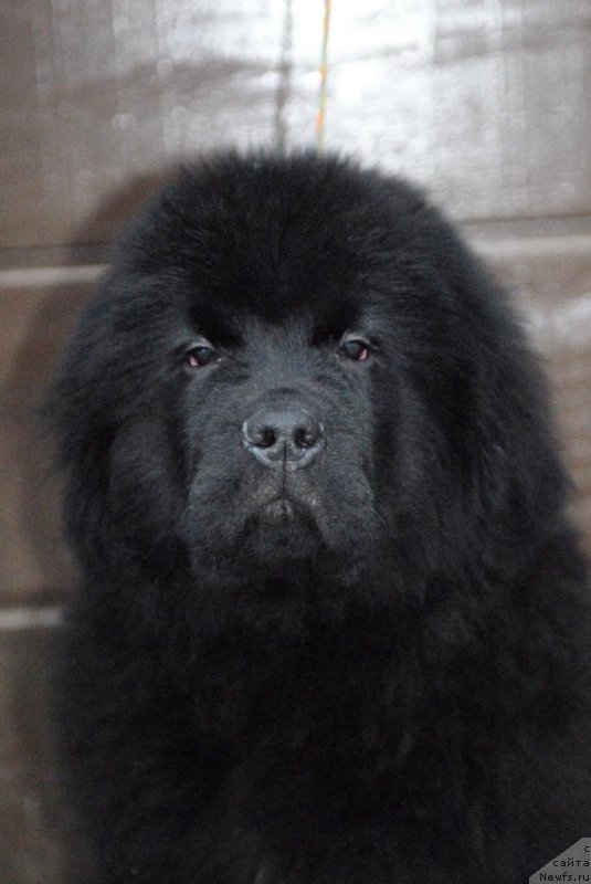 Фотография № 174674