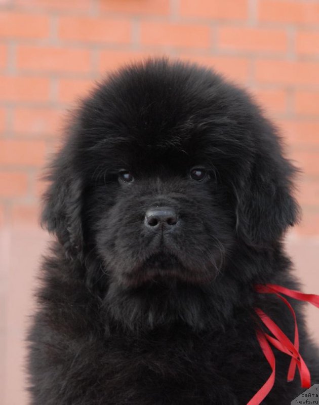 Фотография № 174676