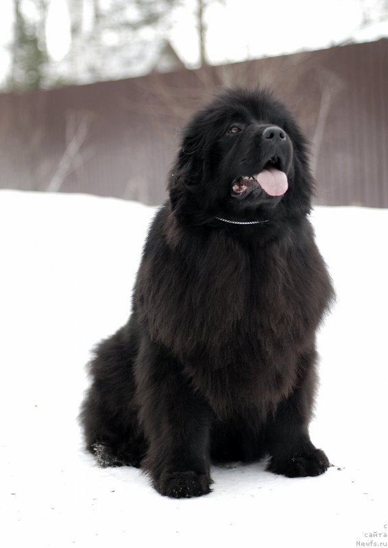 Фотография № 174705