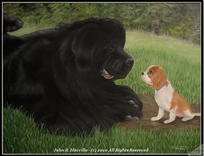 Фотография № 174709