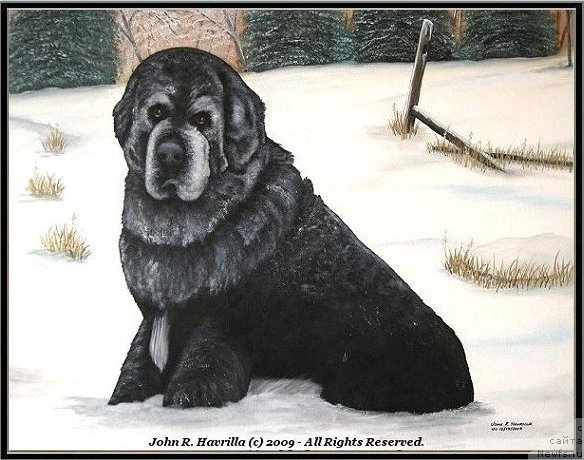 Фотография № 174710