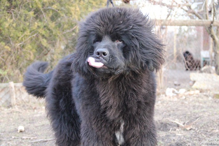 Фотография № 174768