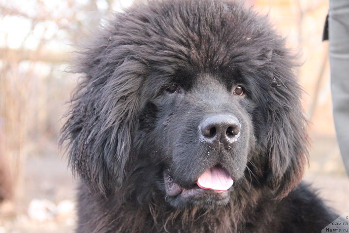 Фотография № 174769