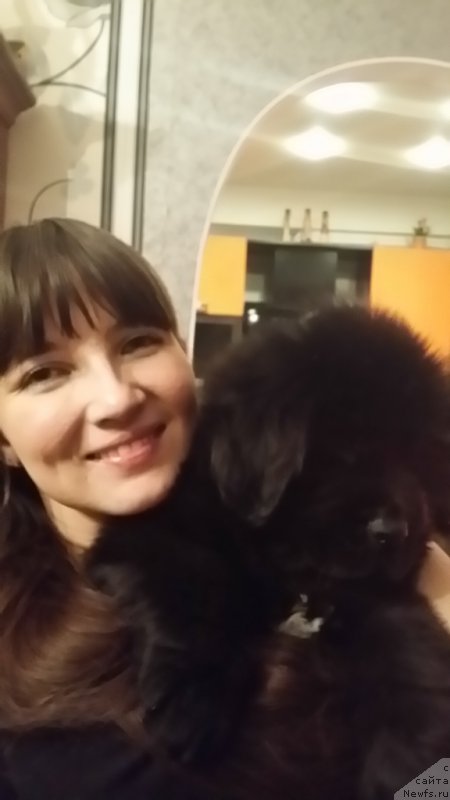 Фото: ньюфаундленд Lankaster (Ланкастер)