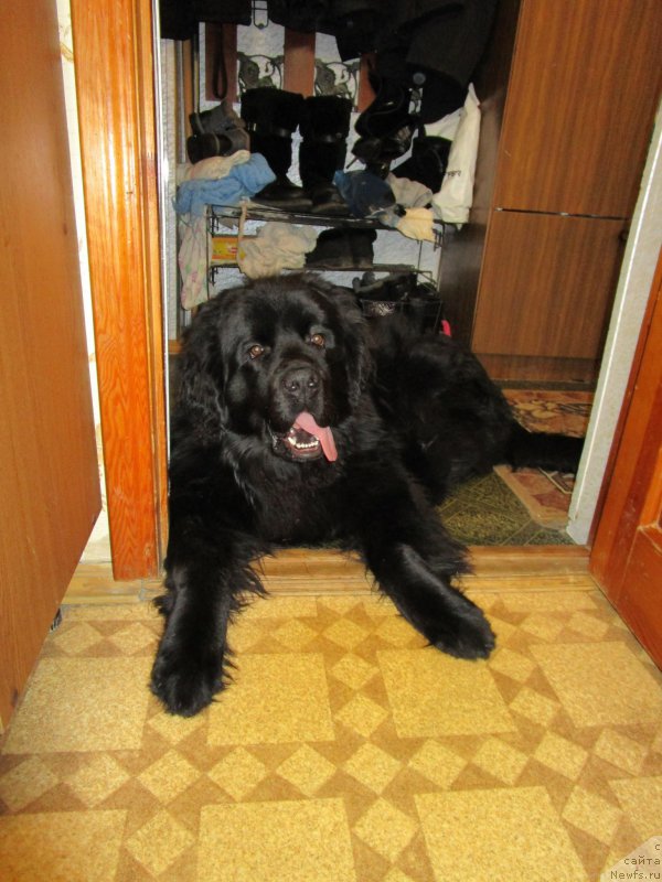 Фото: Svetlana Frolova (Светлана Фролова)