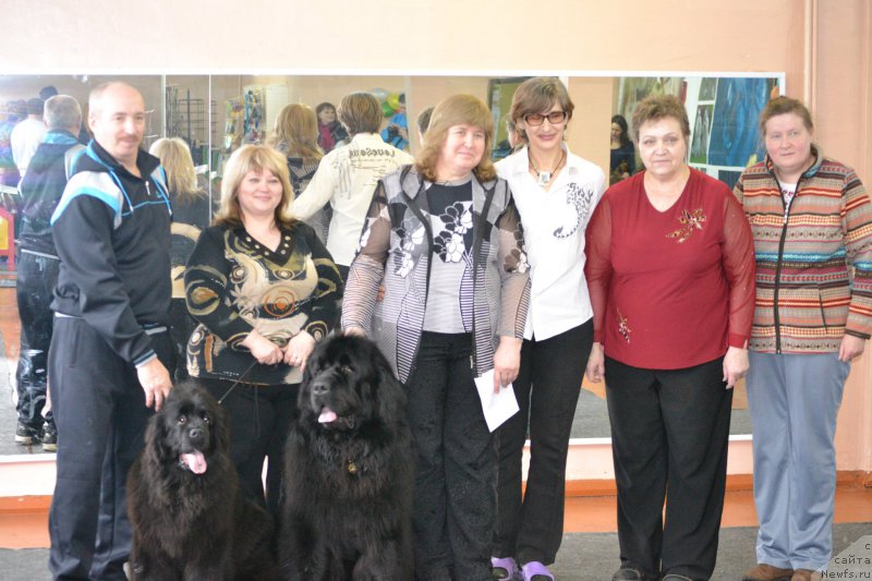 Фото: ньюфаундленд Mnogolikaya Boginya Manifik (Многоликая Богиня Манифик), ньюфаундленд Simbad Pokoritel' Morey (Симбад Покоритель Морей), Aleksey Votchal (Алексей Вотчал)