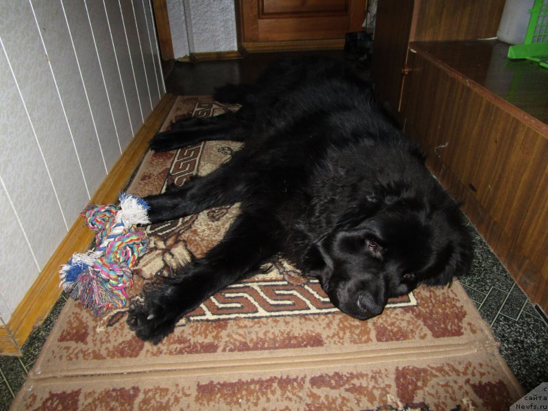 Фото: Svetlana Frolova (Светлана Фролова)