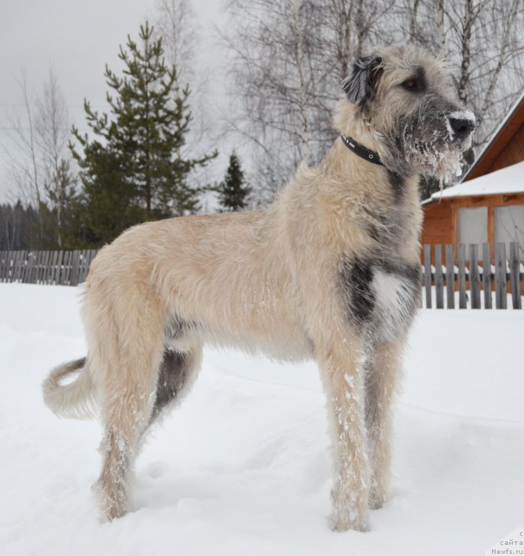 Фотография № 174859