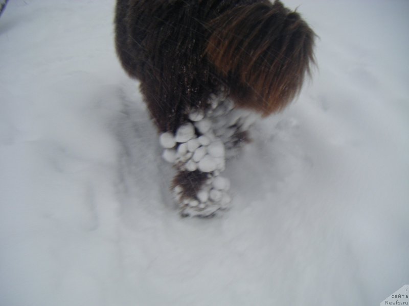 Фотография № 174893