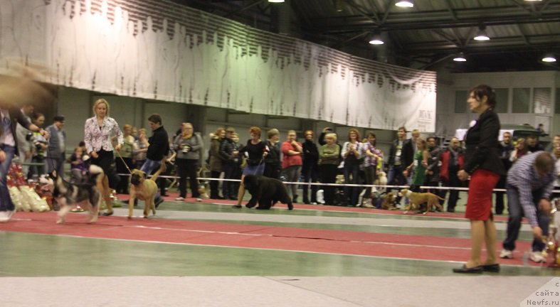 Фотография № 174902