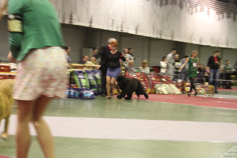 Фотография № 174903