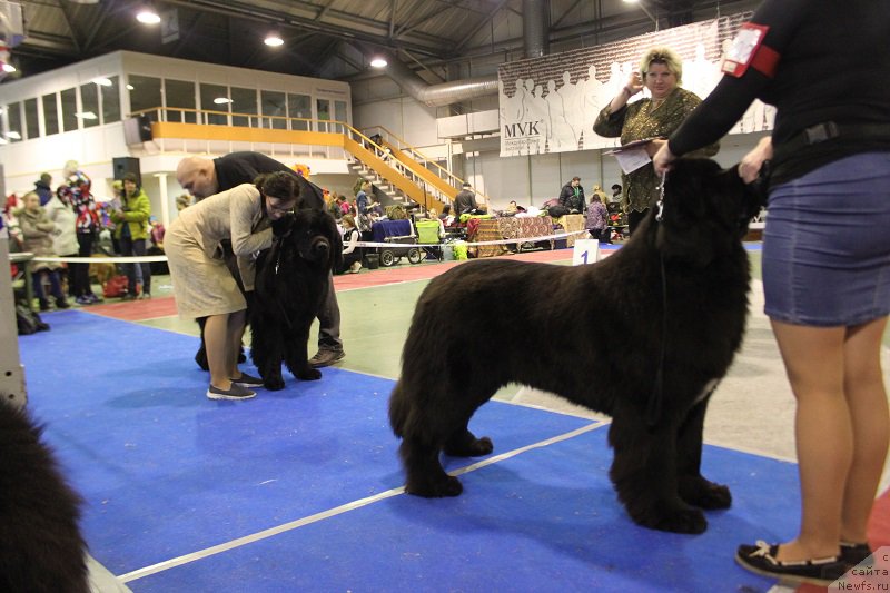 Фотография № 174905