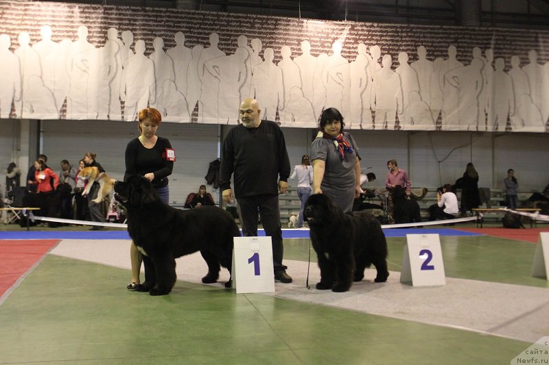 Фотография № 174906