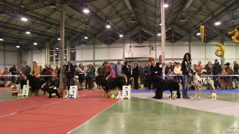 Фотография № 174907