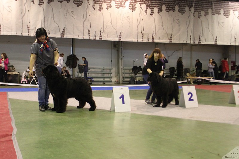 Фотография № 174917