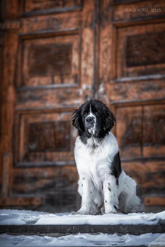 Фотография № 174975