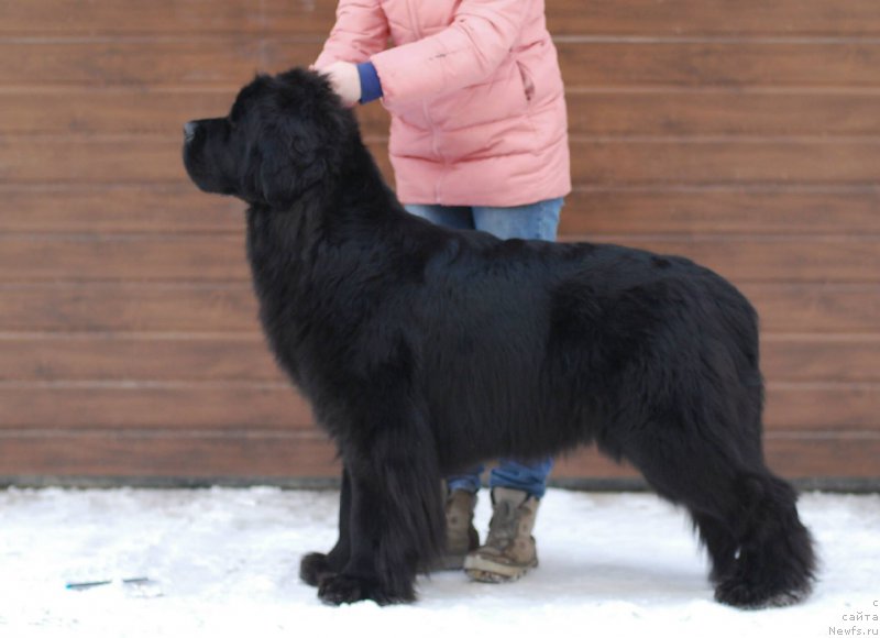 Фотография № 174990