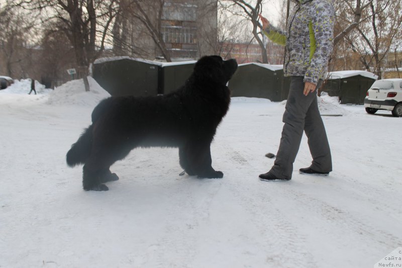 Фотография № 175069