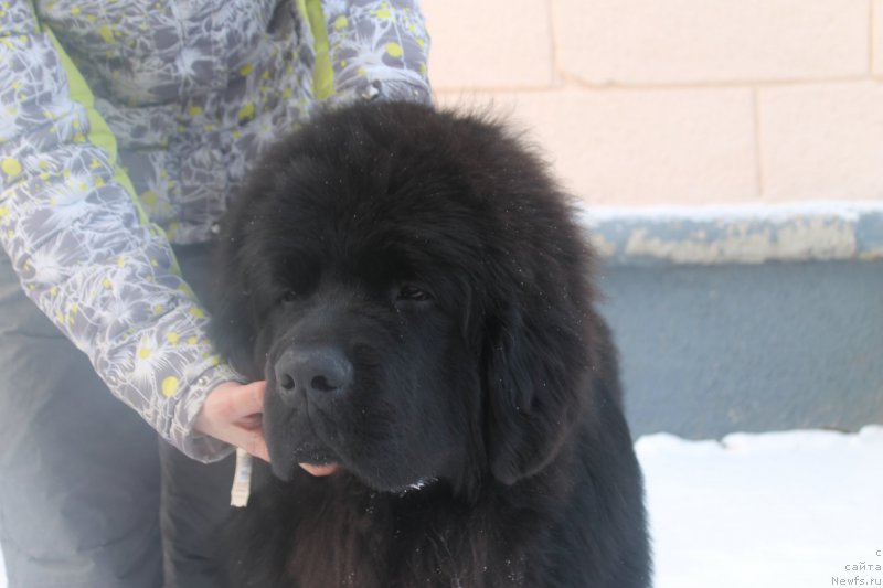 Фотография № 175072