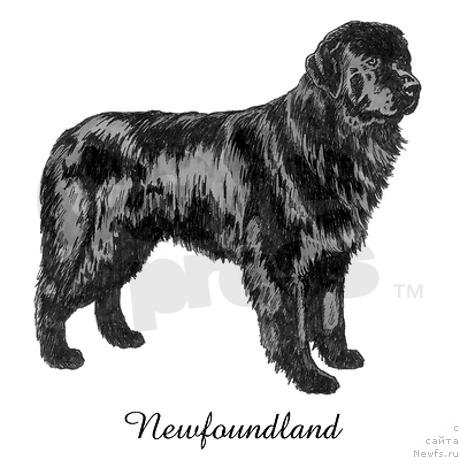 Фотография № 175077