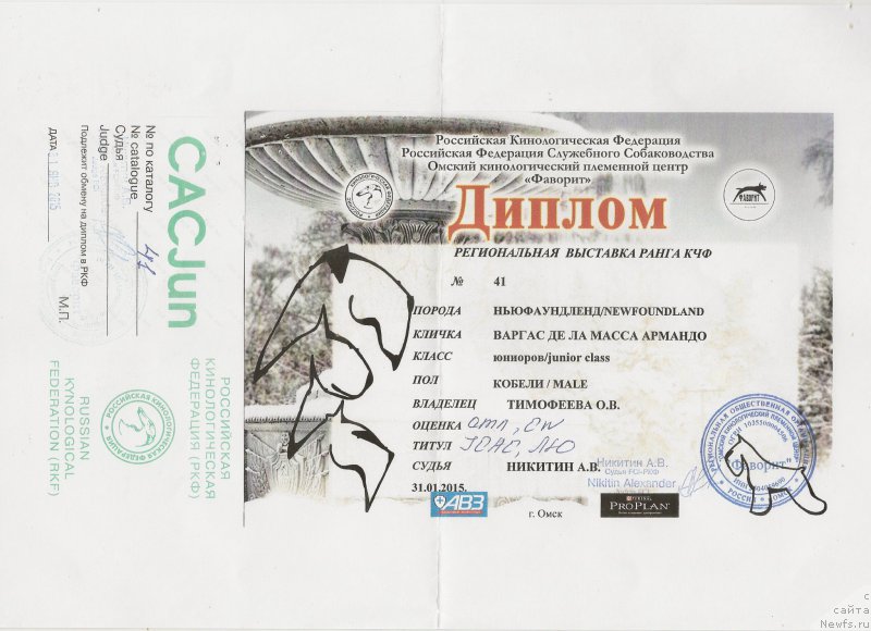 Фото: ньюфаундленд Vargas de la Massa Armando (Варгас Де Ла Масса Армандо)