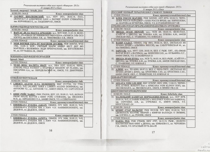 Фото: ньюфаундленд Vargas de la Massa Armando (Варгас Де Ла Масса Армандо)