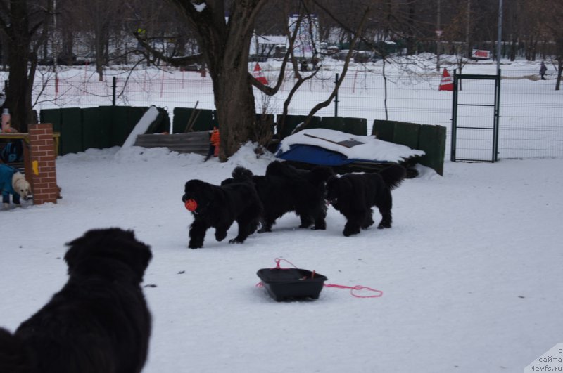 Фотография № 175089