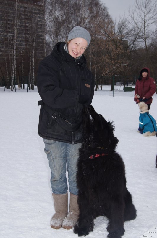 Фото: Elena Tihonenko (Елена Тихоненко), ньюфаундленд Sent Djons Jozayya Valeri (Сент Джонс Жозайя Валери)