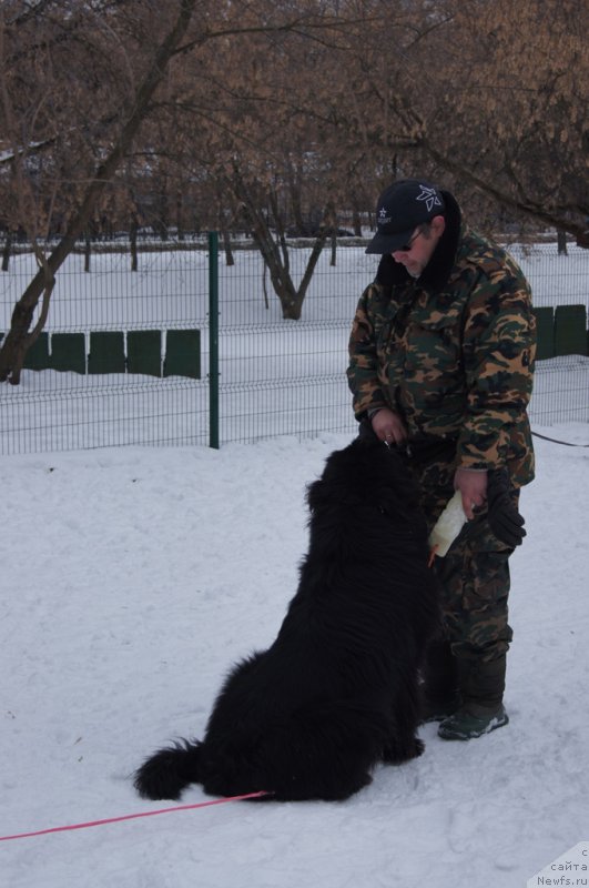 Фотография № 175103