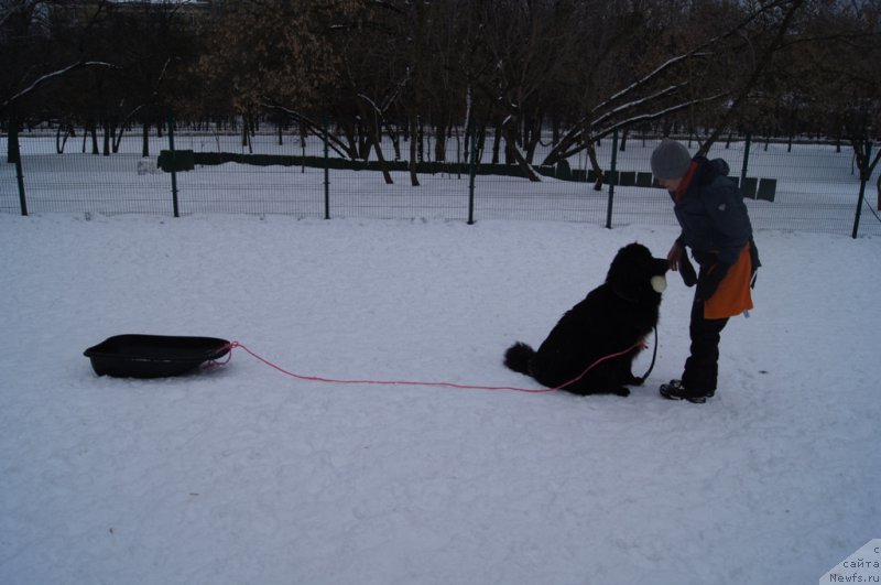 Фотография № 175105