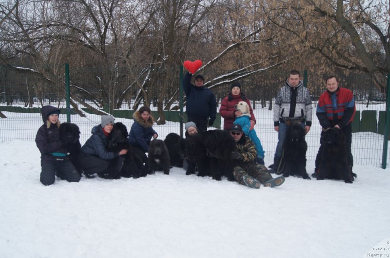 Фото: [p3218] и Байк, Larisa Kutina (Лариса Кутина), ньюфаундленд Belkonder-Club Ugli-Boogli (Белкондер-Клаб Угли-Бугли), Лена, ньюфаундленд Angel Khranitel Gruffidd (Ангел Хранитель Граффидд), ньюфаундленд Sent Djons Lesnaya Feya (Сент Джонс Лесная Фея), ньюфаундленд Beguschaya po Volnam Foget Mi Not (Бегущая по Волнам Фогет Ми Нот), Aleksandr Burmistrov (Александр Бурмистров), Elena Tihonenko (Елена Тихоненко), ньюфаундленд Sent Djons Jozayya Valeri (Сент Джонс Жозайя Валери), Andrey Vasil'cov (Андрей Васильцов), ньюфаундленд Laymar Seynari (Лаймар Сейнари), Надя и Айрис, Кирилл и Бэк, Леонид, ньюфаундленд Sent Djons Larel Leolanda (Сент Джонс Ларель Леоланда)