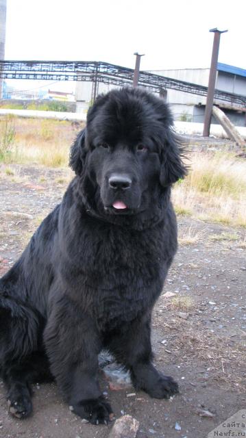 Фотография № 17511