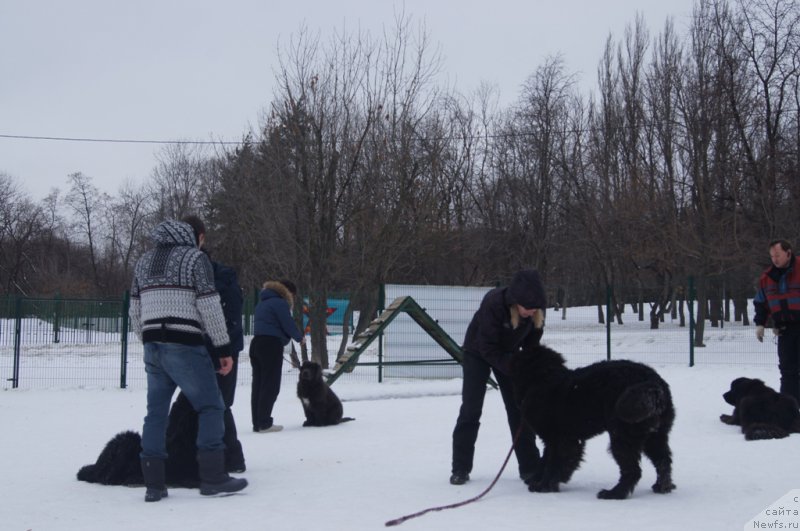 Фотография № 175110