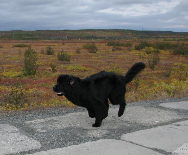 Фотография № 17512