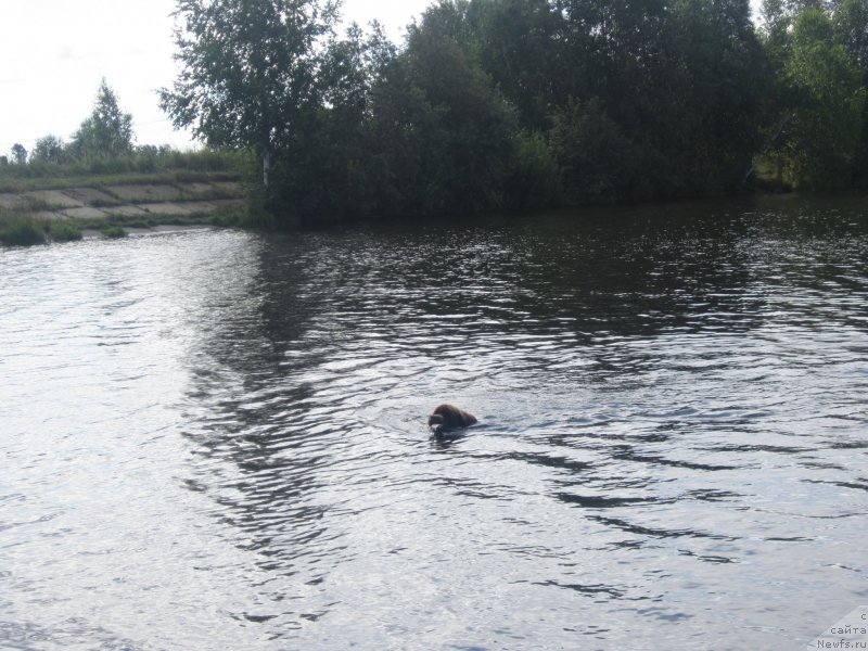 Фотография № 175144